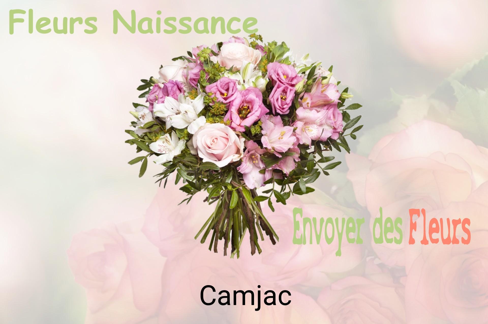 Bouquet de fleurs de naissance livré à Camjac