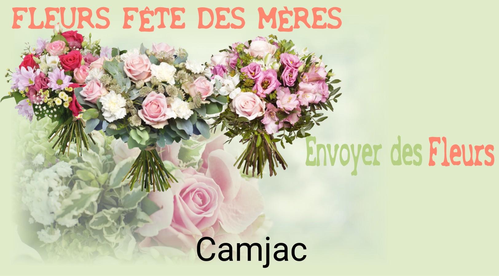 Bouquet de Fête des Mères livré à Camjac